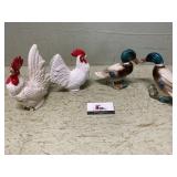 Chickens and ducks