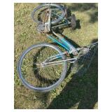 Murray girls bicycle