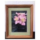 Pasture Rose by Thomas Rosberg