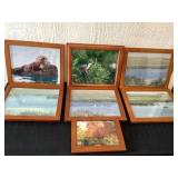 Jan Burns Photography