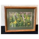 Sands Prairie wildflowers