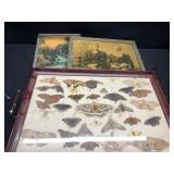 Tray & Framed Prints