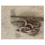 Horse Shoes & misc
