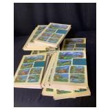 Animal Kingdom Encyclopedias