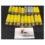 20 Gauge Shells
