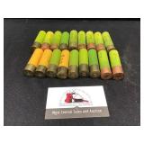 20 Gauge Shells