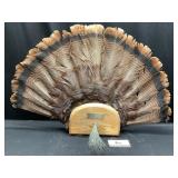 First Turkey Mount