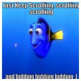 Black Friday Auctions!