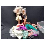 Barbie style dolls and clothes