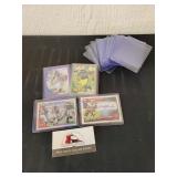 Football Cards and Card Sleeves