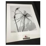 Steven N. Meyers Columbine #2