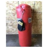 Everlast Punching Bag and Gloves