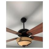 Two Ceiling Fans