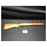 Savage 110 Long Action