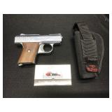 Raven Arms Model P 25