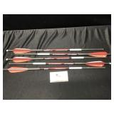 Bloodsport Witness Arrows