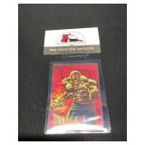 1993 Sky Box Tiger Wylde