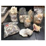 Sea shells and mason jars
