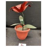 Heavy Metal Flower in pot