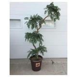 Artificial Tree in Pot