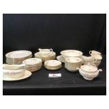 Eggshell nautilus USA D49N5