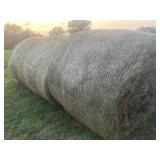 2025 Grass/ Clover Bales