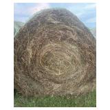 2025 Second Cutting Grass/ Clover  Bale