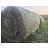 2025 Grass/ Clover Bales