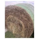 2025 Second Cutting Grass/ Clover  Bale