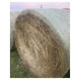 2025 Grass Hay Bales