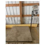 Platform Scale