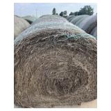 Grass Hay