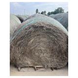 Grass Hay