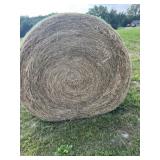 3rd Cutting 2025 Alfalfa