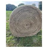 3rd Cutting 2025 Alfalfa