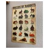 Metal rabbit breed sign