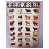 Sheep Metal Sign