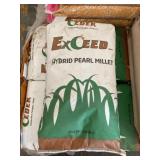 Exceed Hybrid Pearl Millet