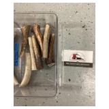Small elk antlers