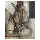 Bridles, Tom Thumb and grazing bit
