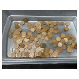 1LB Indian Head Pennies