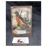 Anita, IA advertising thermometer