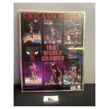 1991 Chicago Bulls world champion poster