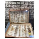 Entomology collection