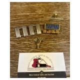 Military Pins and Dental Pin