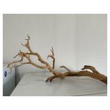 Drift Wood