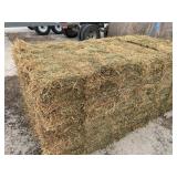 3rd Cutting Alfalfa 2025