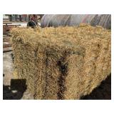 3rd Cutting Alfalfa 2025