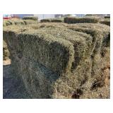 4th Cutting Alfalfa 2025