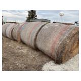 1st Cutting Alfalfa 2025